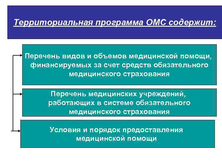 Территориальная программа ОМС содержит: Перечень видов и объемов медицинской помощи, финансируемых за счет средств