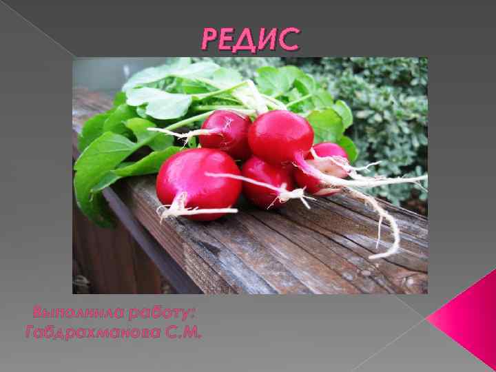 РЕДИС Выполнила работу: Габдрахманова С. М. 