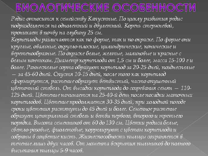 Редис относится к семейству Капустные. По циклу развития редис подразделяется на однолетний и двулетний.