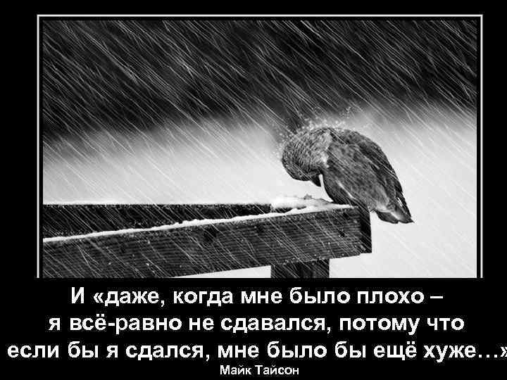 И «даже, когда мне было плохо – я всё-равно не сдавался, потому что если