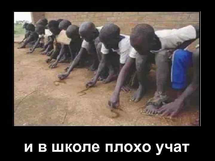 и в школе плохо учат 