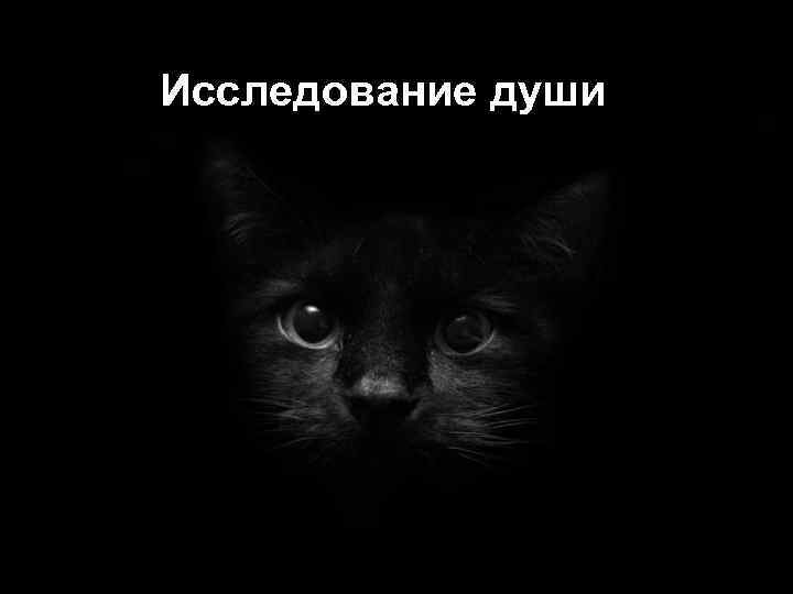 Исследование души - это вглядывание в бездну Когда долго смелее вглядываешься в бездну вглядывайся…