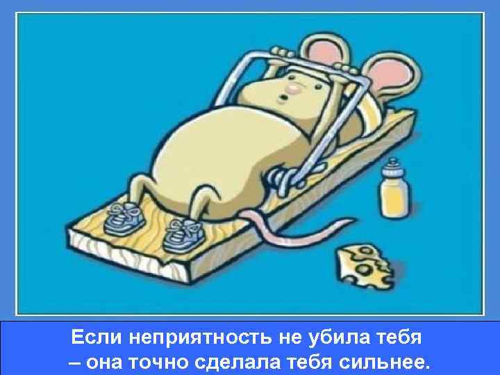 Если неприятность не убила тебя – она точно сделала тебя сильнее. 