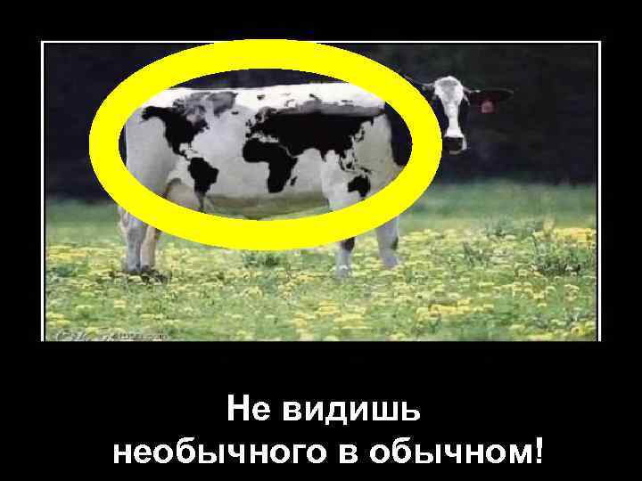 Не видишь необычного в обычном! 