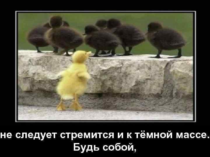не следует стремится и к тёмной массе. Будь собой, 