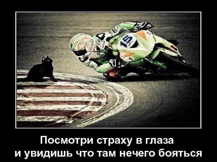 Посмотри страху в глаза и увидишь что там нечего бояться 