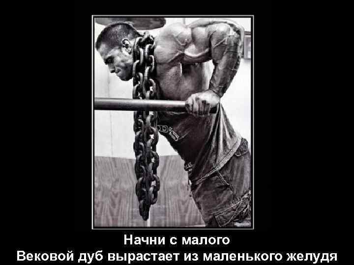 Начни с малого Вековой дуб вырастает из маленького желудя 