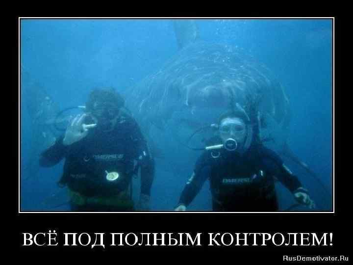 Так действует этот «пряник» н/л Свой «пряник» сво й? ? ? 