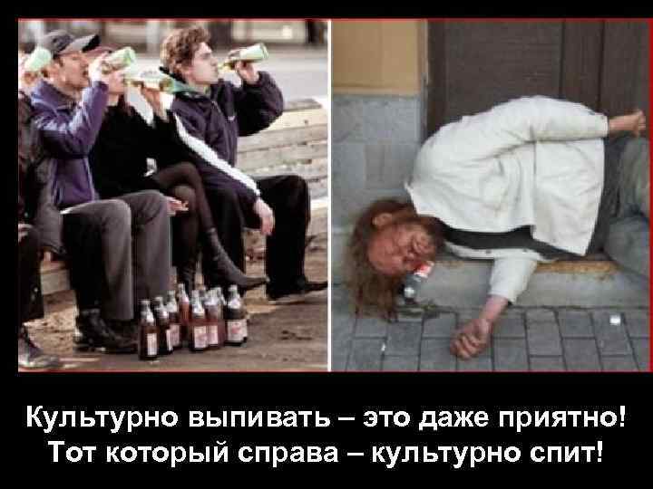 Культурно выпивать – это даже приятно! Тот который справа – культурно спит! 