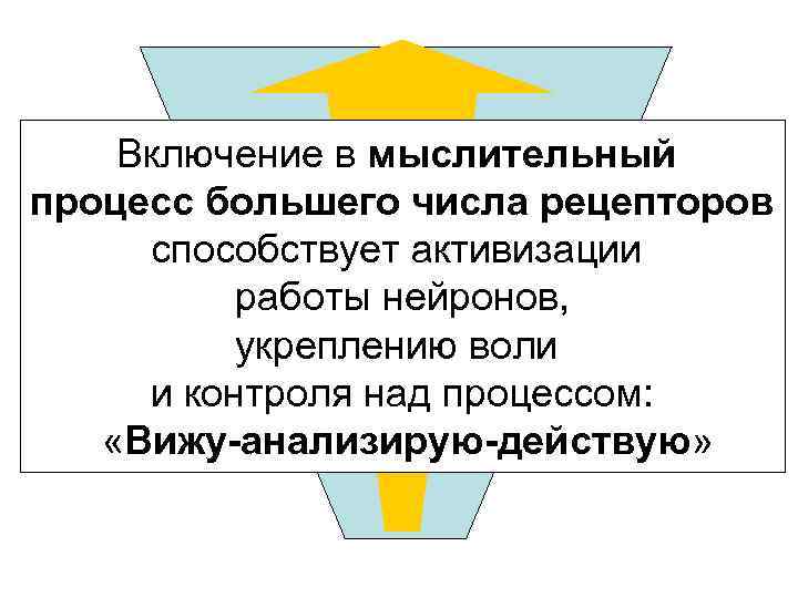 Включение в мыслительный процесс большего числа рецепторов способствует активизации работы нейронов, укреплению воли и