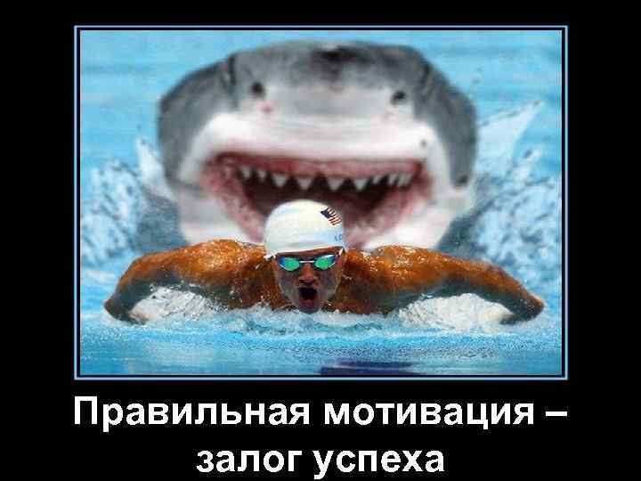 Правильная мотивация – залог успеха 