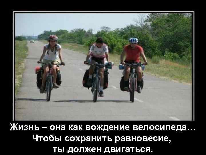Жизнь – она как вождение велосипеда… Чтобы сохранить равновесие, ты должен двигаться. 