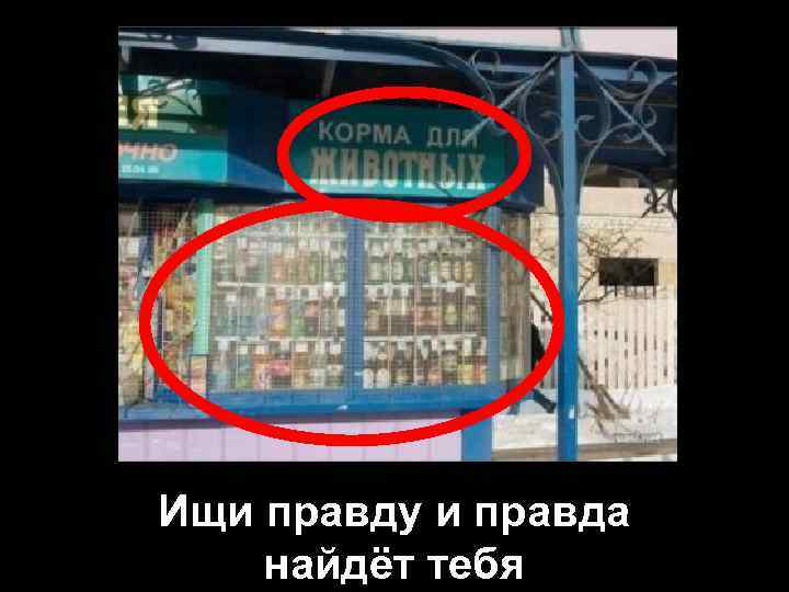 Ищи правду и правда найдёт тебя 