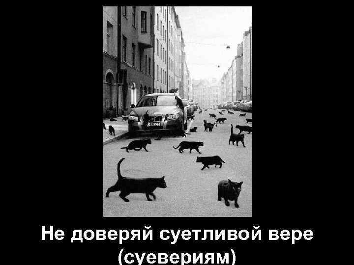 Не доверяй суетливой вере (суевериям) 