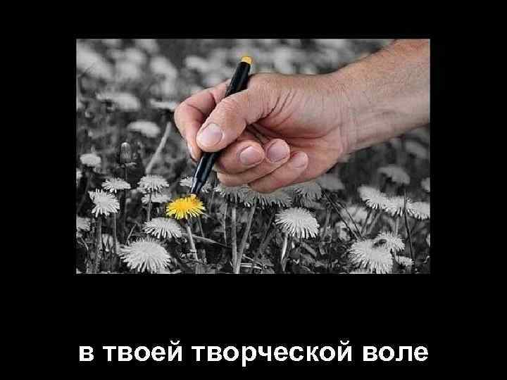 в твоей творческой воле 