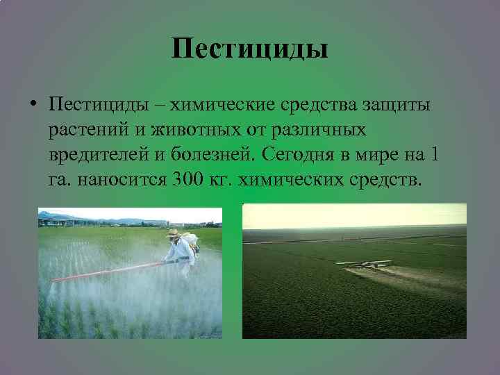 Пестициды • Пестициды – химические средства защиты растений и животных от различных вредителей и