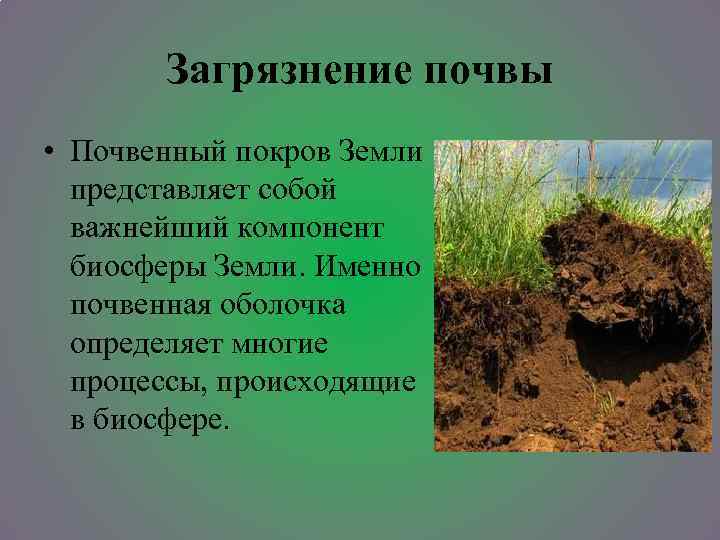 Почвы биосферы