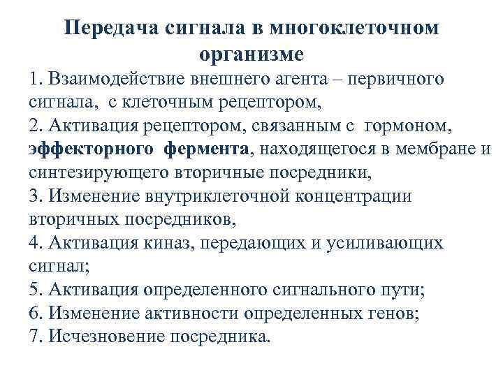 Передача сигнала в многоклеточном организме 1. Взаимодействие внешнего агента – первичного сигнала, с клеточным