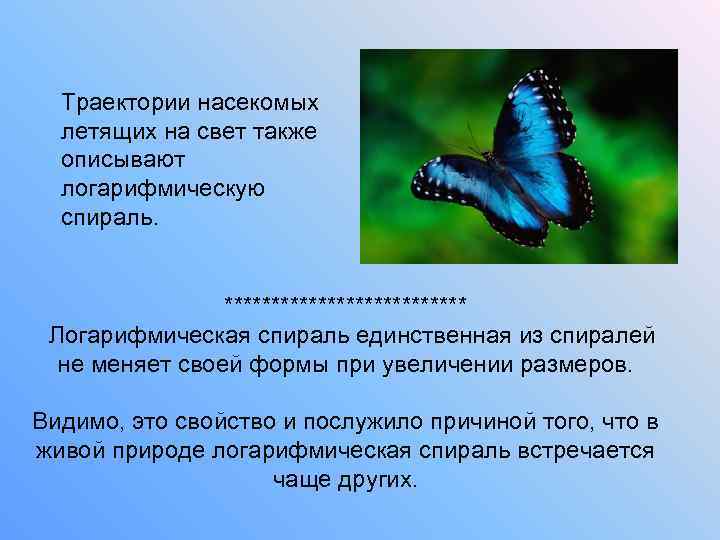 Траектории насекомых летящих на свет также описывают логарифмическую спираль. ************* Логарифмическая спираль единственная из