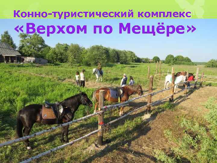 Конно-туристический комплекс «Верхом по Мещёре» 