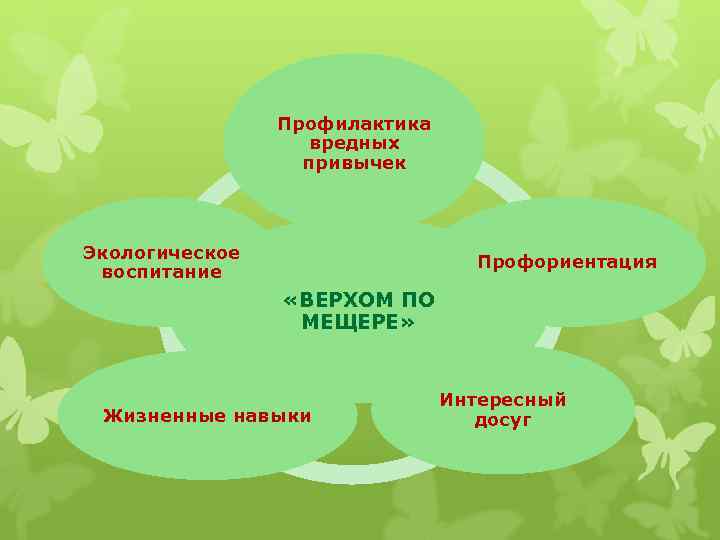 Профилактика вредных привычек Экологическое воспитание Профориентация «ВЕРХОМ ПО МЕЩЕРЕ» Жизненные навыки Интересный досуг 