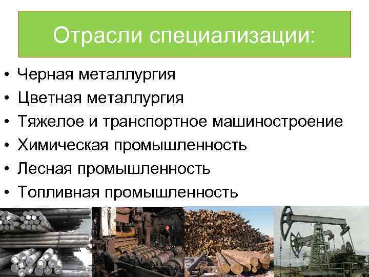 Отрасли специализации: • • • Черная металлургия Цветная металлургия Тяжелое и транспортное машиностроение Химическая