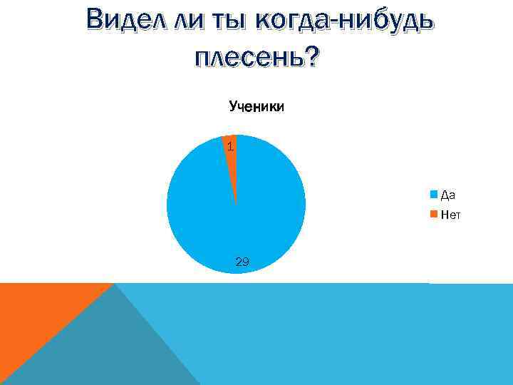 Видел ли ты когда-нибудь плесень? Ученики 1 Да Нет 29 