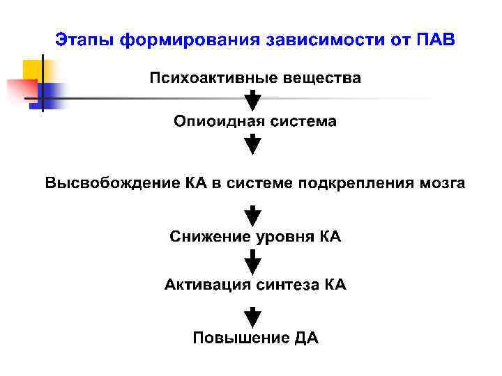 Развитие зависимостей. Этапы формирования зависимости. Стадии формирования зависимости от психоактивных веществ. Этапы формирования зависимости от психоактивных веществ. Этапы развития зависимости от пав.