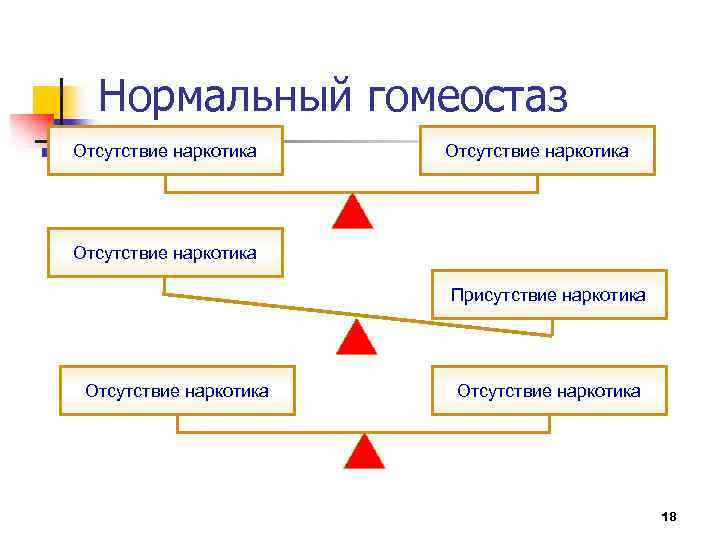 Нормальный гомеостаз Отсутствие наркотика Присутствие наркотика Отсутствие наркотика 18 