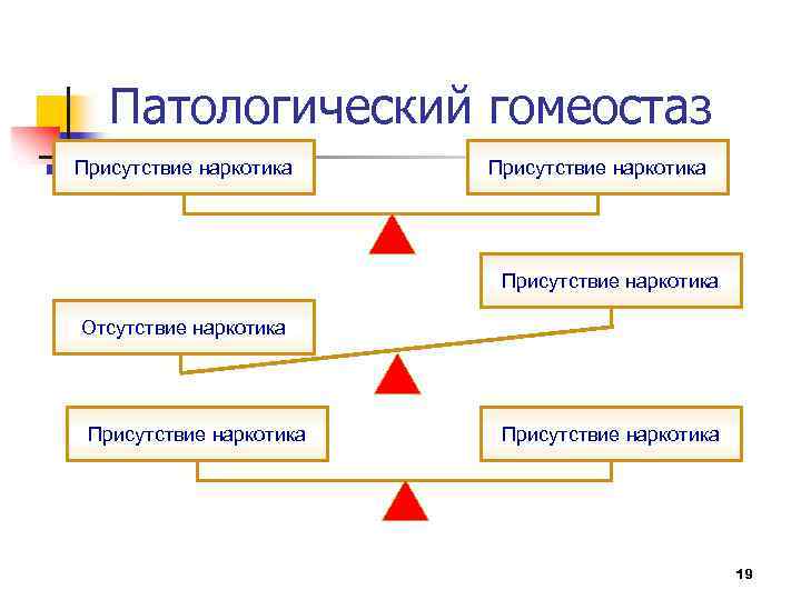 Патологический гомеостаз Присутствие наркотика Отсутствие наркотика Присутствие наркотика 19 