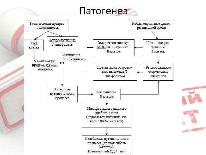 Метилмалоновая ацидемия презентация