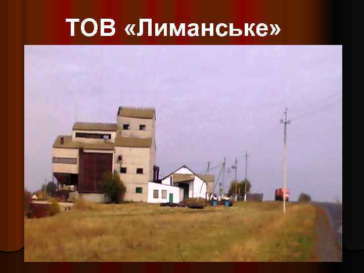 ТОВ «Лиманське» 