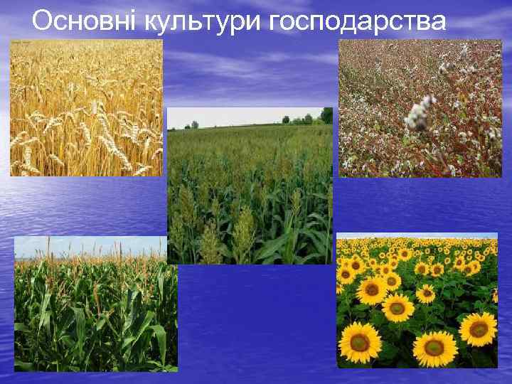 Основні культури господарства 