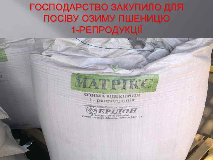 ГОСПОДАРСТВО ЗАКУПИЛО ДЛЯ ПОСІВУ ОЗИМУ ПШЕНИЦЮ 1 -РЕПРОДУКЦІЇ 