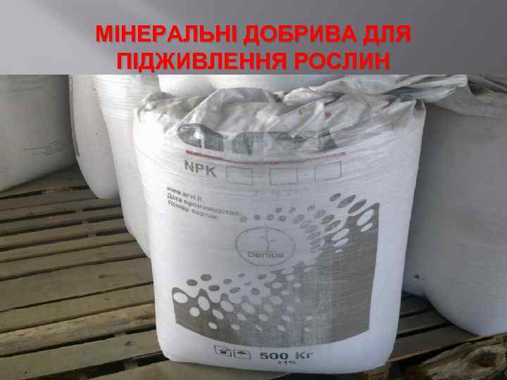 МІНЕРАЛЬНІ ДОБРИВА ДЛЯ ПІДЖИВЛЕННЯ РОСЛИН 