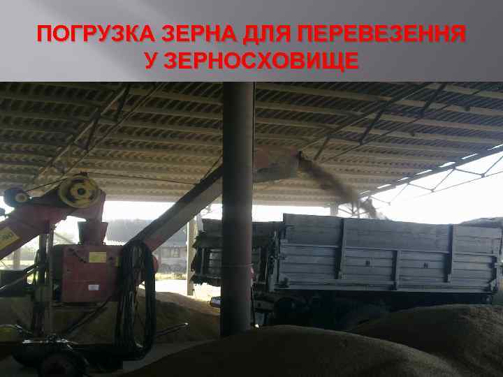 ПОГРУЗКА ЗЕРНА ДЛЯ ПЕРЕВЕЗЕННЯ У ЗЕРНОСХОВИЩЕ 