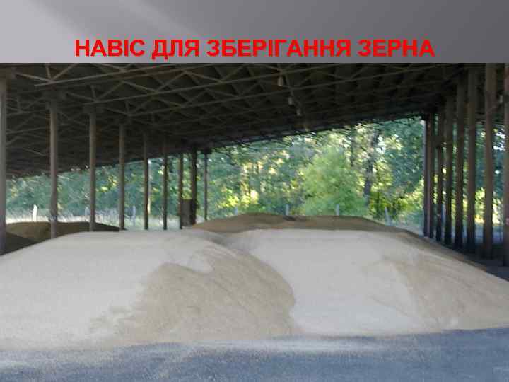 НАВІС ДЛЯ ЗБЕРІГАННЯ ЗЕРНА 