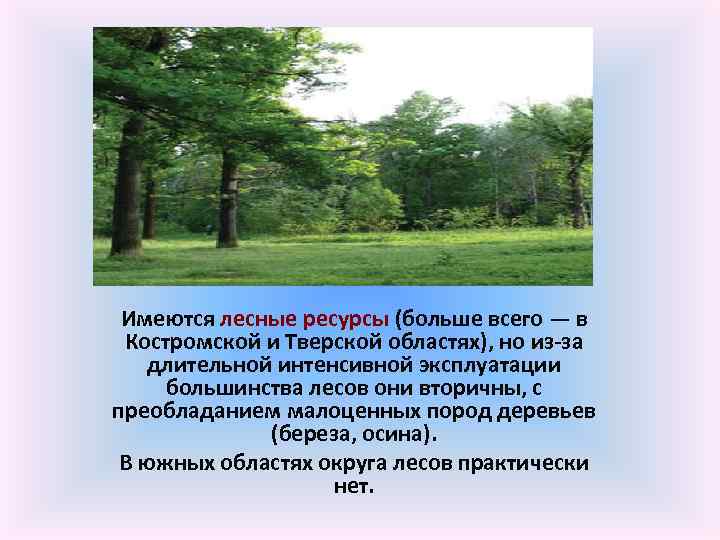 Имеются лесные ресурсы (больше всего — в Костромской и Тверской областях), но из-за длительной