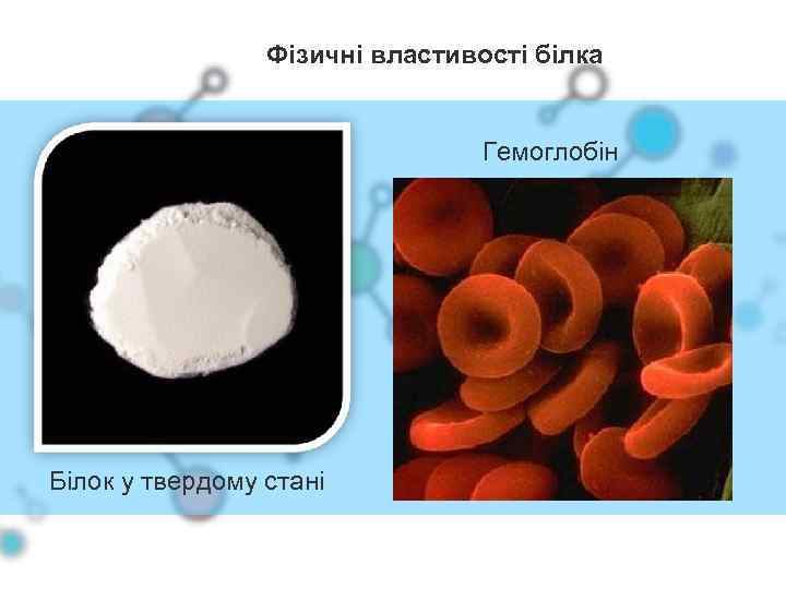 Фізичні властивості білка Гемоглобін Білок у твердому стані 