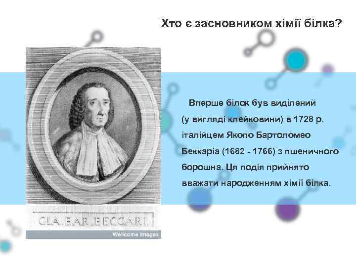 Хто є засновником хімії білка? Вперше білок був виділений (у вигляді клейковини) в 1728