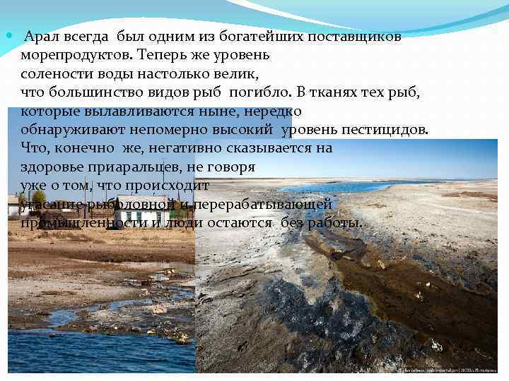  Арал всегда был одним из богатейших поставщиков морепродуктов. Теперь же уровень солености воды