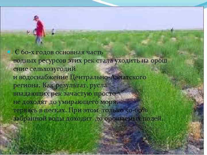  С 60 -х годов основная часть водных ресурсов этих рек стала уходить на