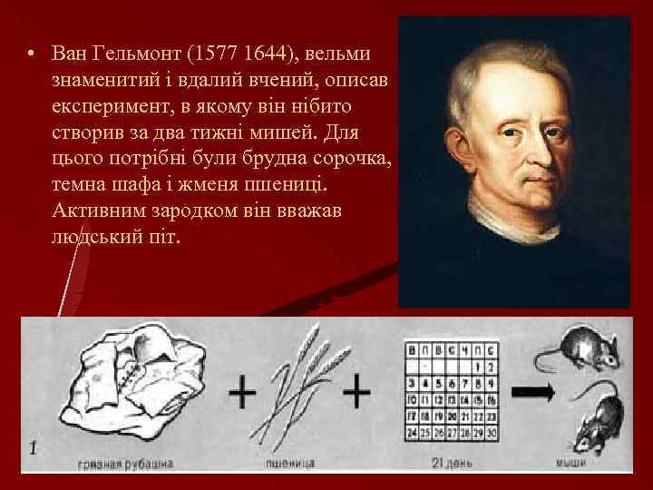  • Ван Гельмонт (1577 1644), вельми знаменитий і вдалий вчений, описав експеримент, в