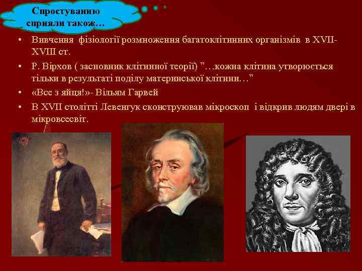 Спростуванню сприяли також… • Вивчення фізіології розмноження багатоклітинних організмів в ХVІІІ ст. • Р.