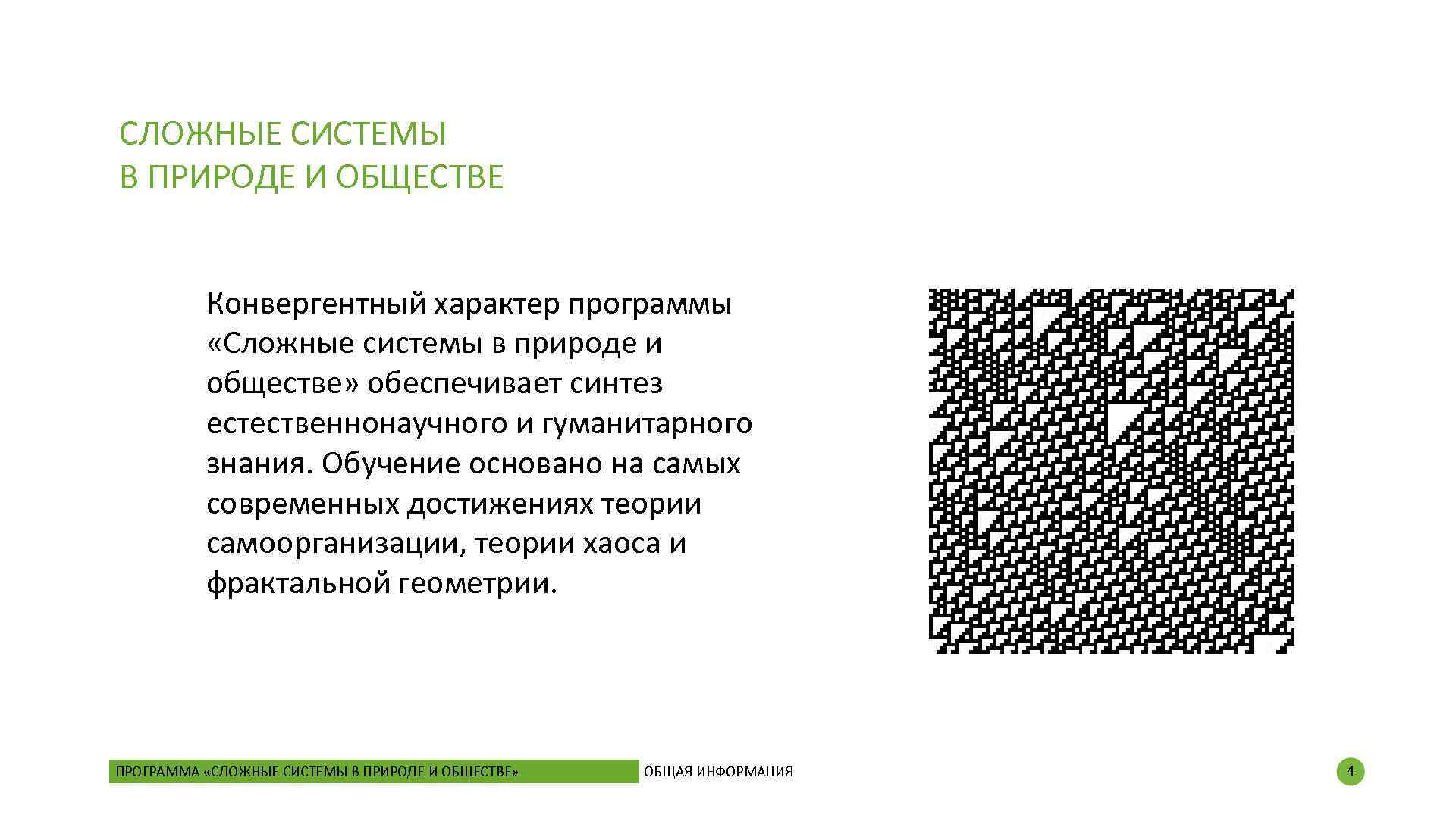 СЛОЖНЫЕ СИСТЕМЫ В ПРИРОДЕ И ОБЩЕСТВЕ Конвергентный характер программы «Сложные системы в природе и