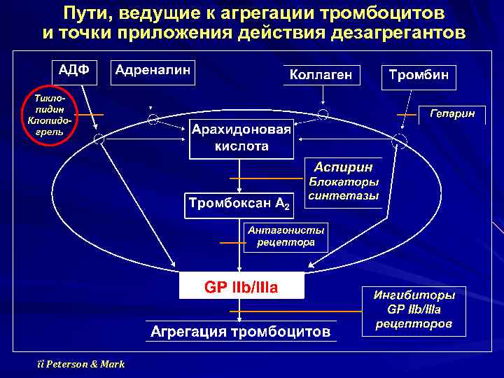 Схема агрегации тромбоцитов