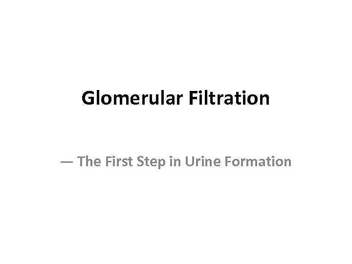 Glomerular Filtration — The First Step in Urine Formation 