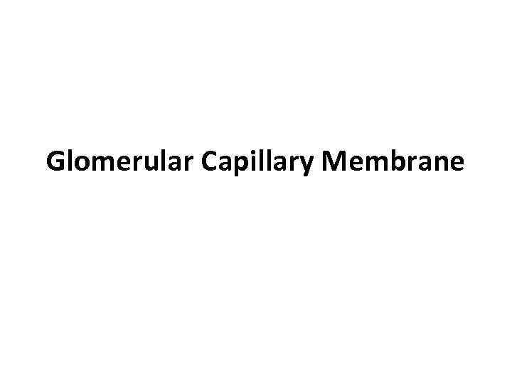 Glomerular Capillary Membrane 