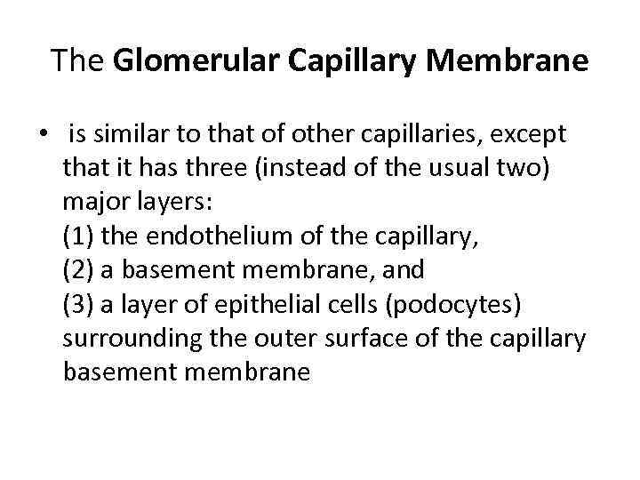 The Glomerular Capillary Membrane • is similar to that of other capillaries, except that