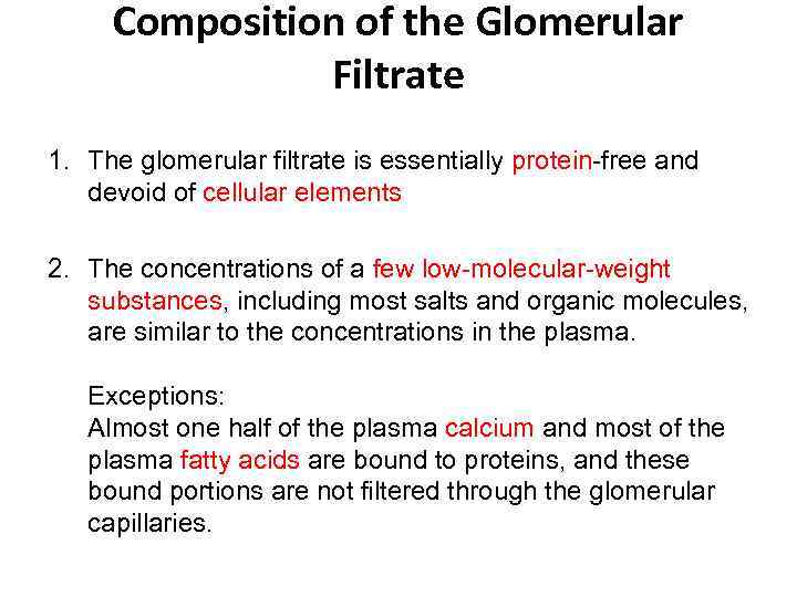 Composition of the Glomerular Filtrate 1. The glomerular filtrate is essentially protein-free and devoid